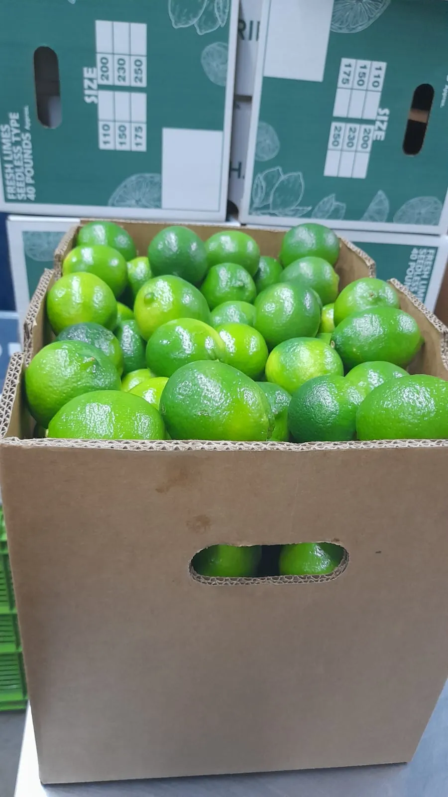 Cadena agrícola y comercial Cariwox