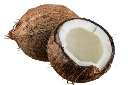 Coconut