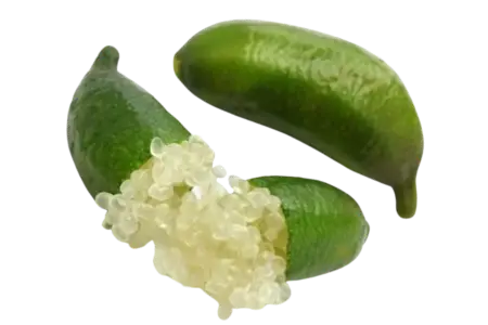 Finger lime (Caviar lime)