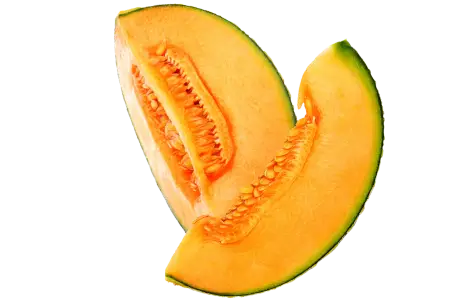 Melon