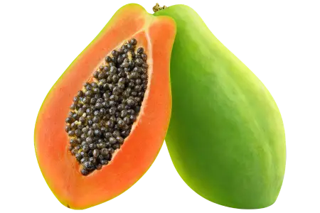 Papaya